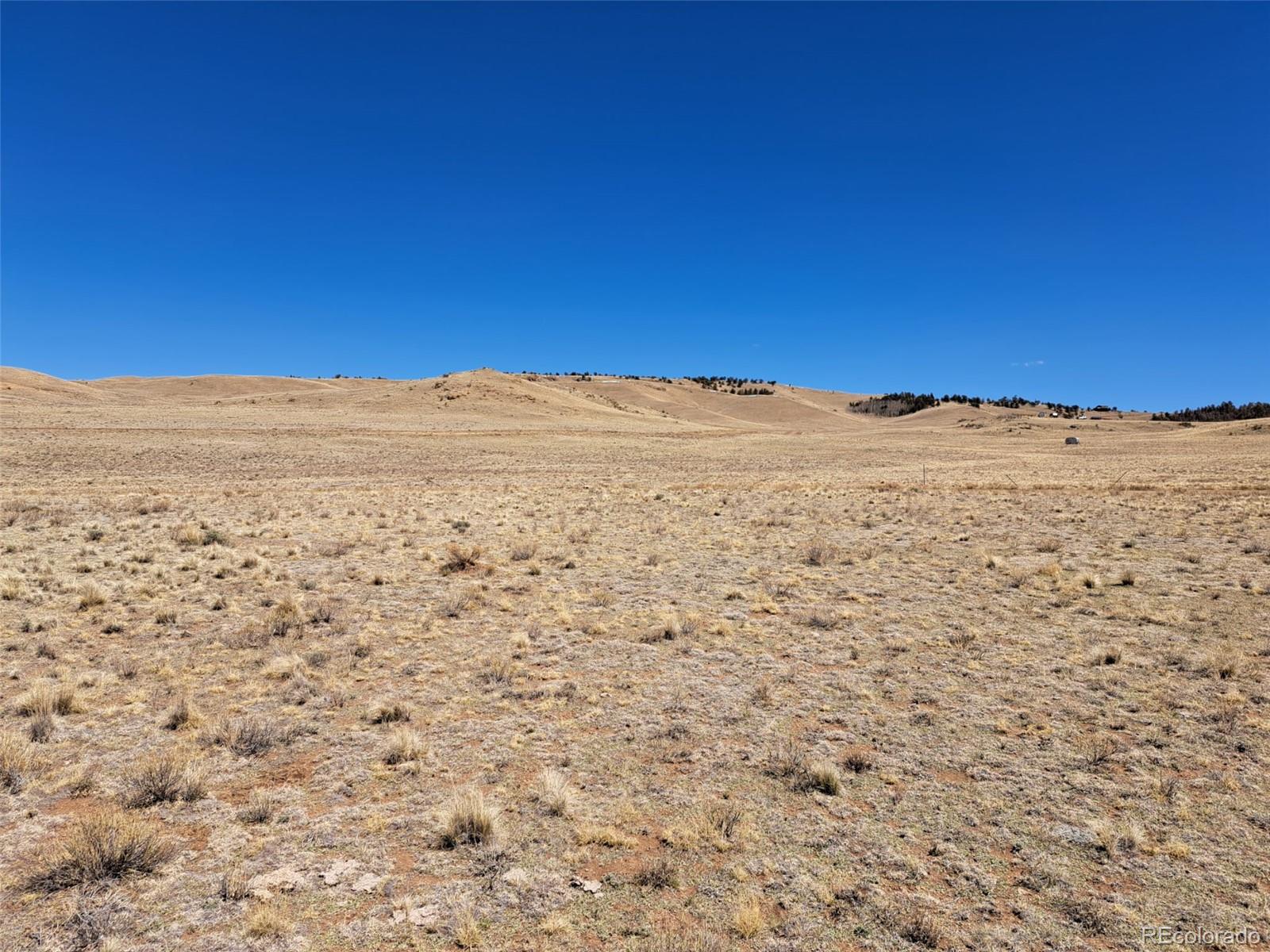 8313 Black Kettle Road Hartsel, CO 80449 - Photo 3 of 22