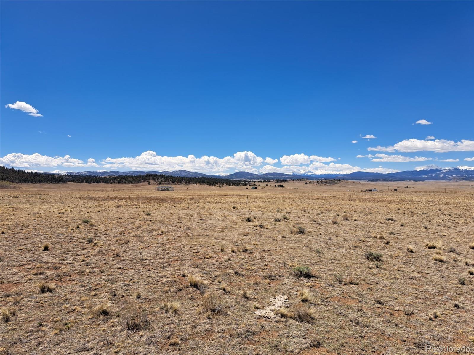 8313 Black Kettle Road Hartsel, CO 80449 - Photo 6 of 22