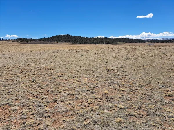 $16,000 | 8313 Black Kettle Road, Hartsel, CO 80449