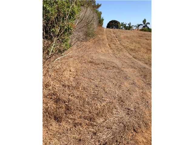 0 Integrity Way Fallbrook, CA 92028 - Photo 9 of 15 NORTH EAST SIDE OF PROPERTY