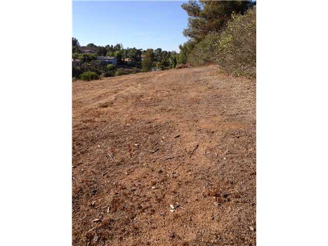 0 Integrity Way Fallbrook, CA 92028 - Photo 10 of 15 SOUTH EAST SIDE OF PROPERTY LOOKING NORTH.