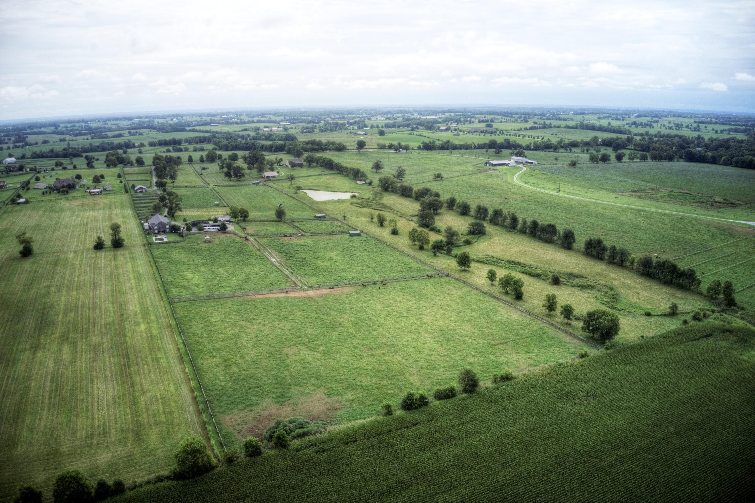 1662 Bethlehem Road Paris, KY 40361 - Photo 18 of 48 DJI_0334 1662 Bethlehem Road 16