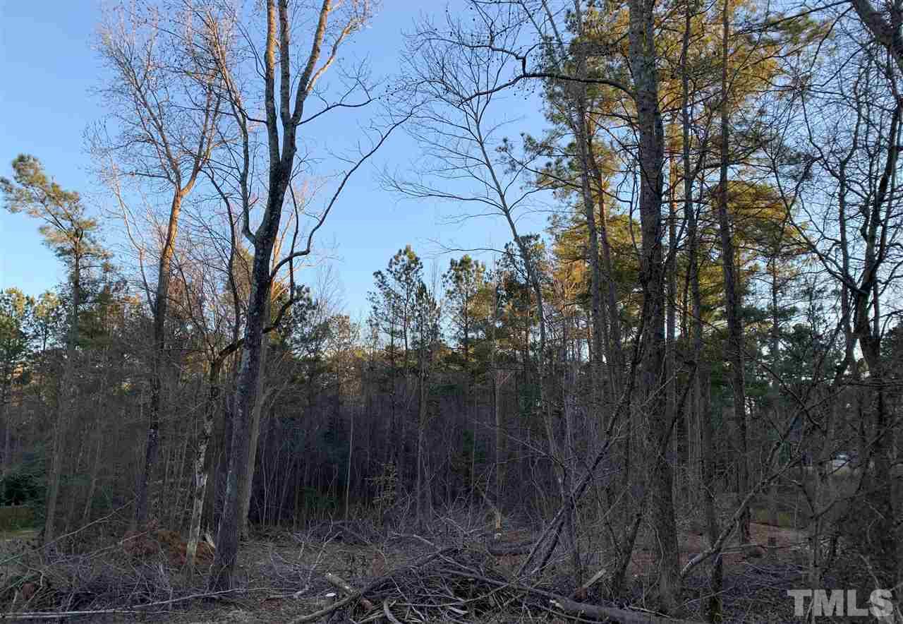 3613 Griffice Mill Road Raleigh, NC 27610 - Photo 5 of 12 a view of a forest