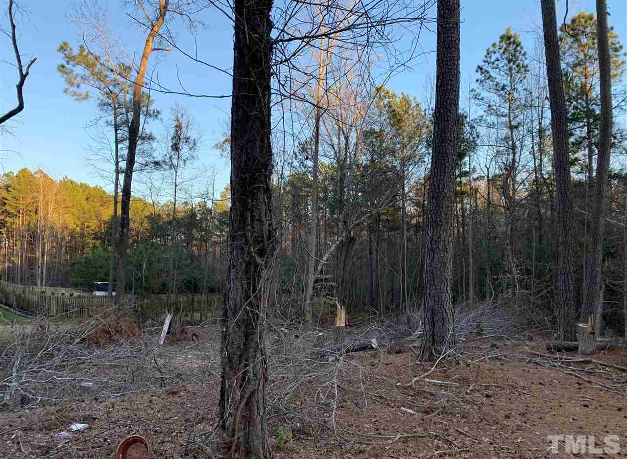 3613 Griffice Mill Road Raleigh, NC 27610 - Photo 7 of 12 a view of a forest with trees in the background