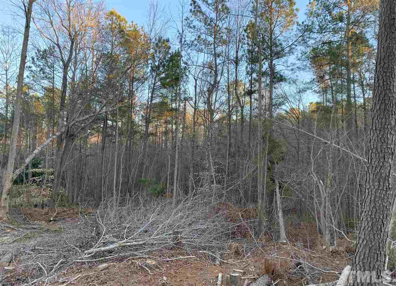 3613 Griffice Mill Road Raleigh, NC 27610 - Photo 8 of 12 a view of a forest