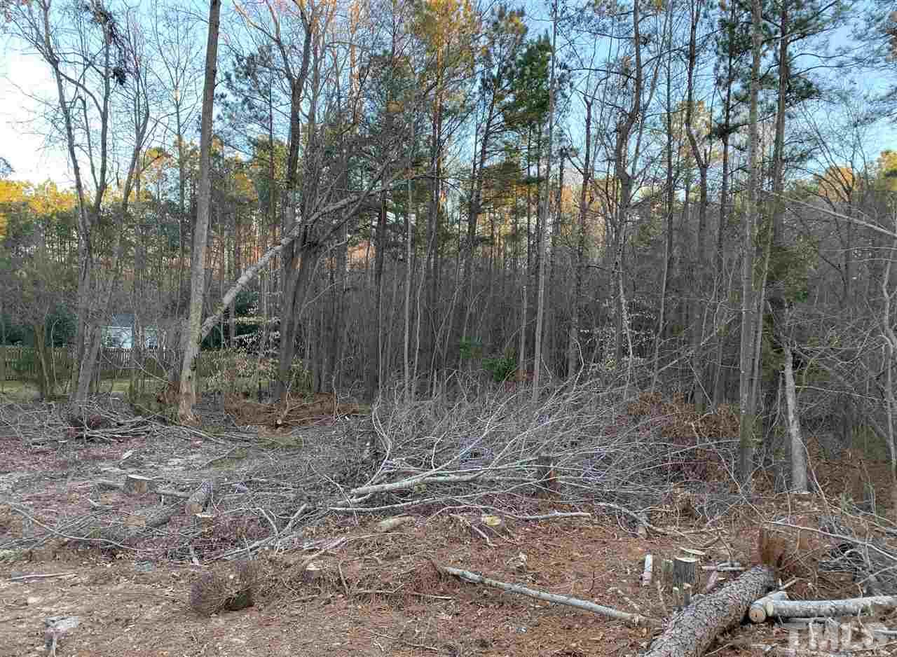 3613 Griffice Mill Road Raleigh, NC 27610 - Photo 9 of 12 a view of a forest with large trees