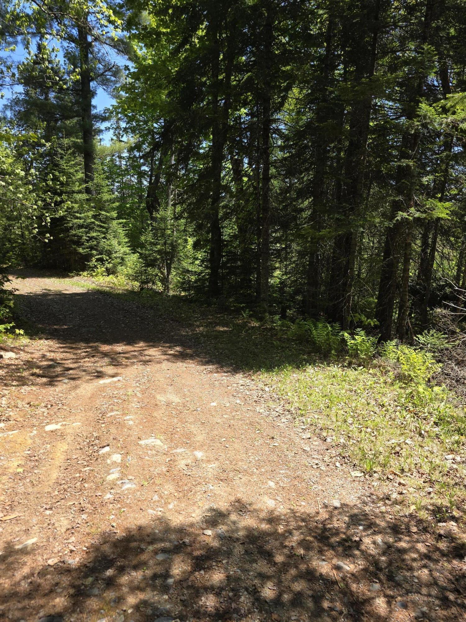 8-l 4 Prescott Pond Road West Forks, ME 04985 - Photo 7 of 9 13889