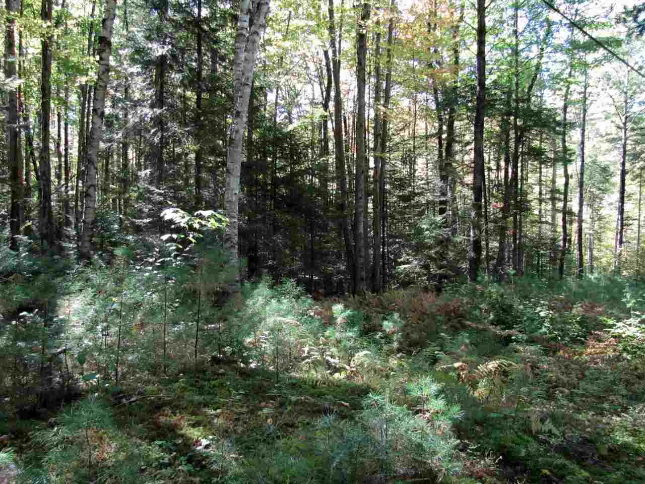 0 Skinny Ridge Road, Unit LOT # 7 Lyman, NH 03585 - Photo 1 of 12