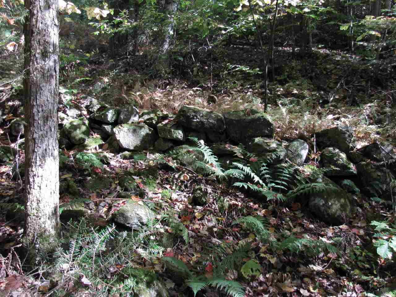 0 Skinny Ridge Road, Unit LOT # 7 Lyman, NH 03585 - Photo 2 of 12