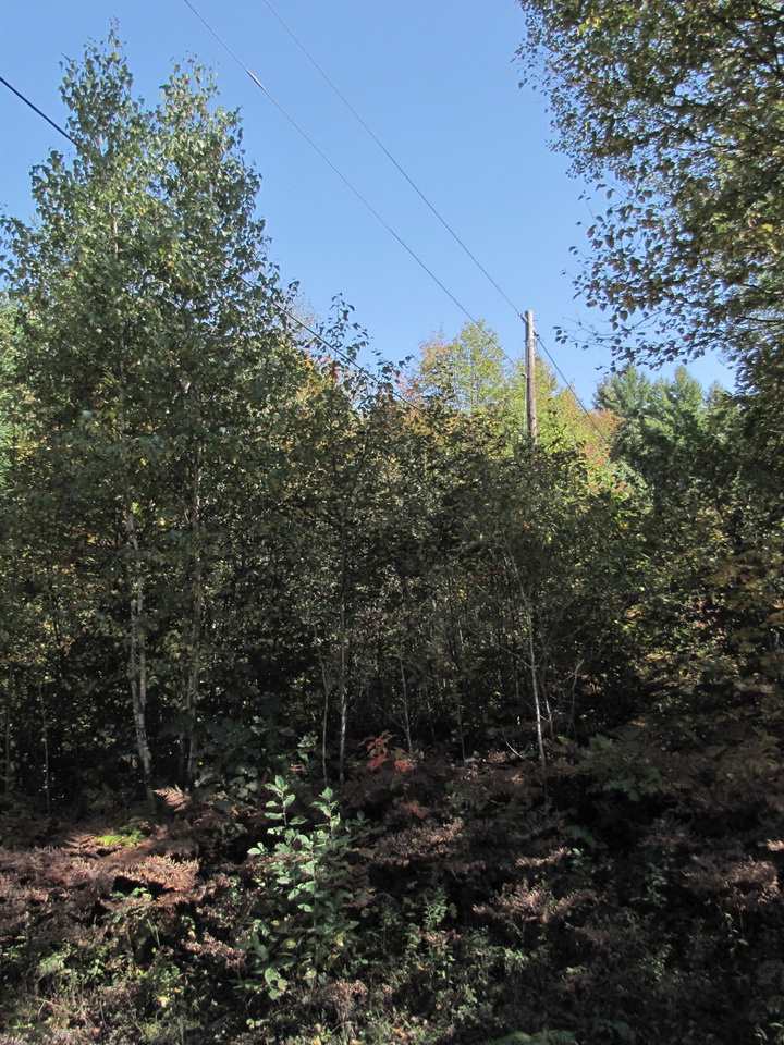 0 Skinny Ridge Road, Unit LOT # 7 Lyman, NH 03585 - Photo 3 of 12