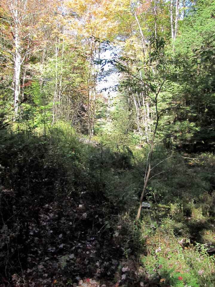 0 Skinny Ridge Road, Unit LOT # 7 Lyman, NH 03585 - Photo 5 of 12