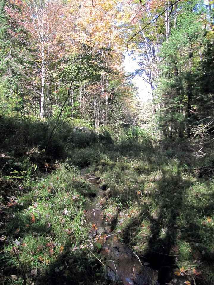 0 Skinny Ridge Road, Unit LOT # 7 Lyman, NH 03585 - Photo 7 of 12