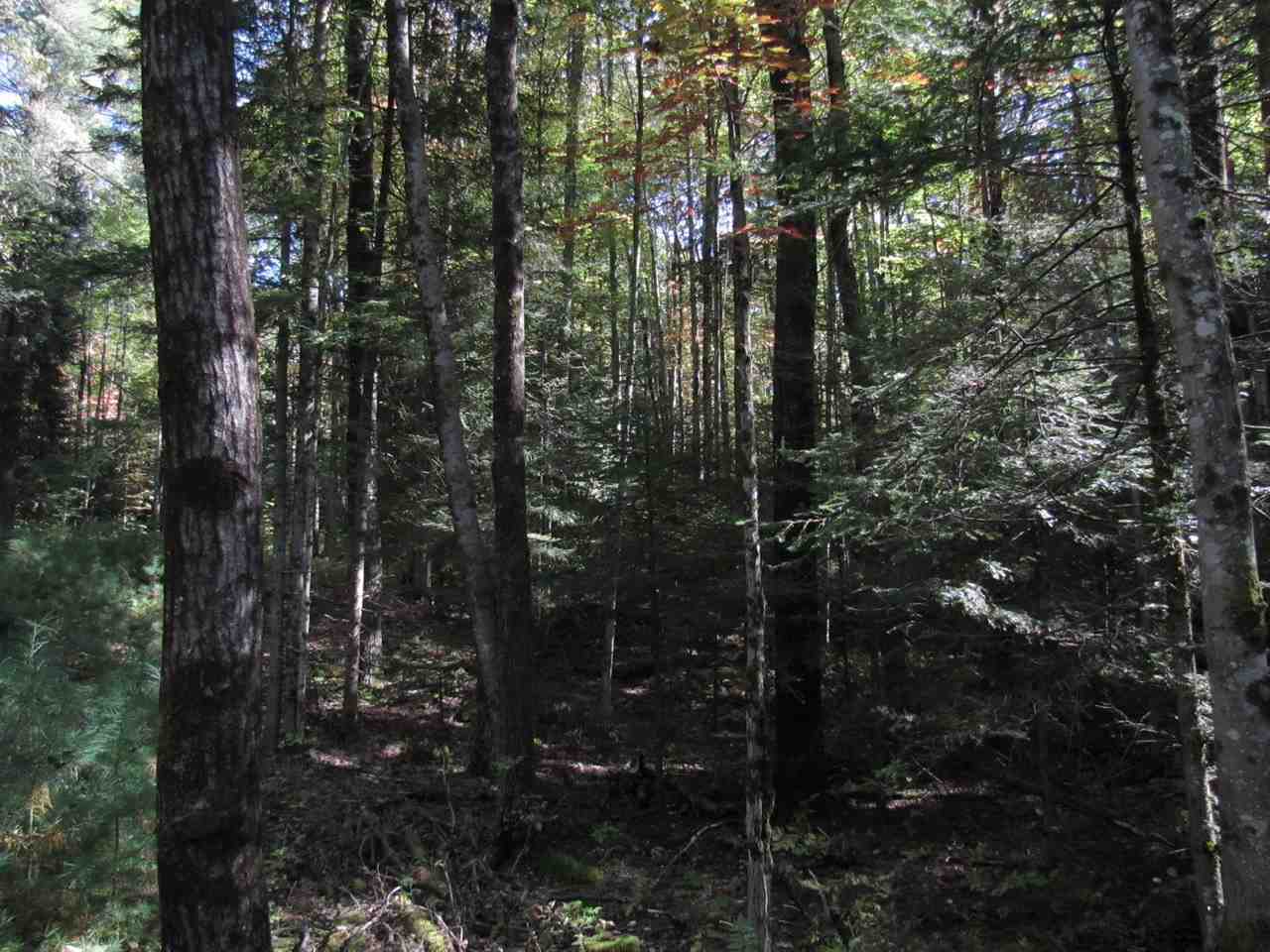 0 Skinny Ridge Road, Unit LOT # 7 Lyman, NH 03585 - Photo 8 of 12