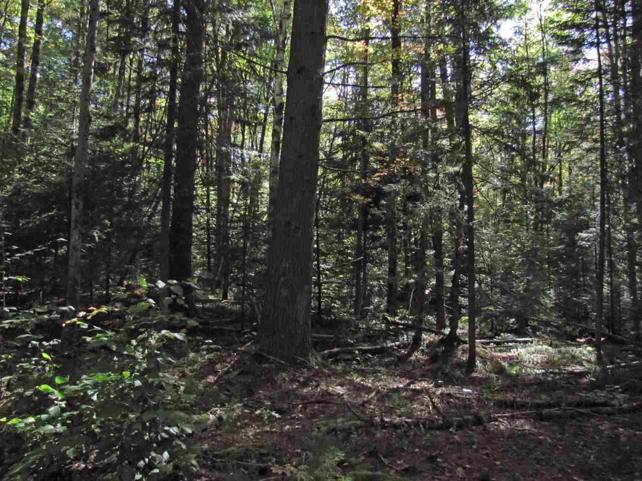 0 Skinny Ridge Road, Unit LOT # 7 Lyman, NH 03585 - Photo 10 of 12