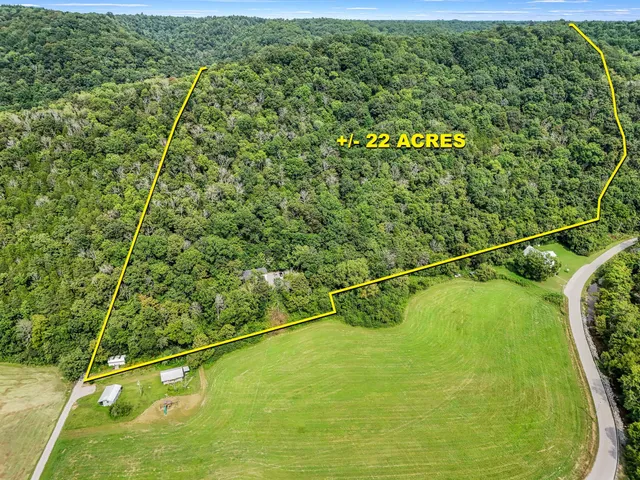 a view of a tennis court