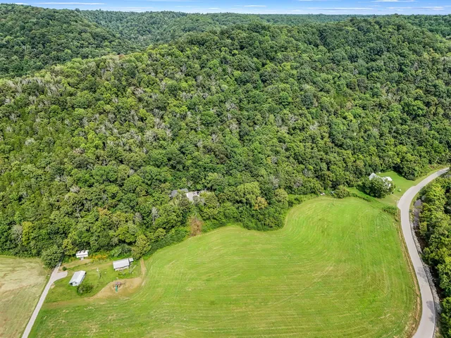 a view of a big yard with large trees