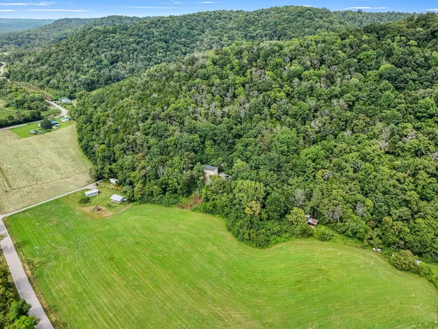 a view of yard with green space
