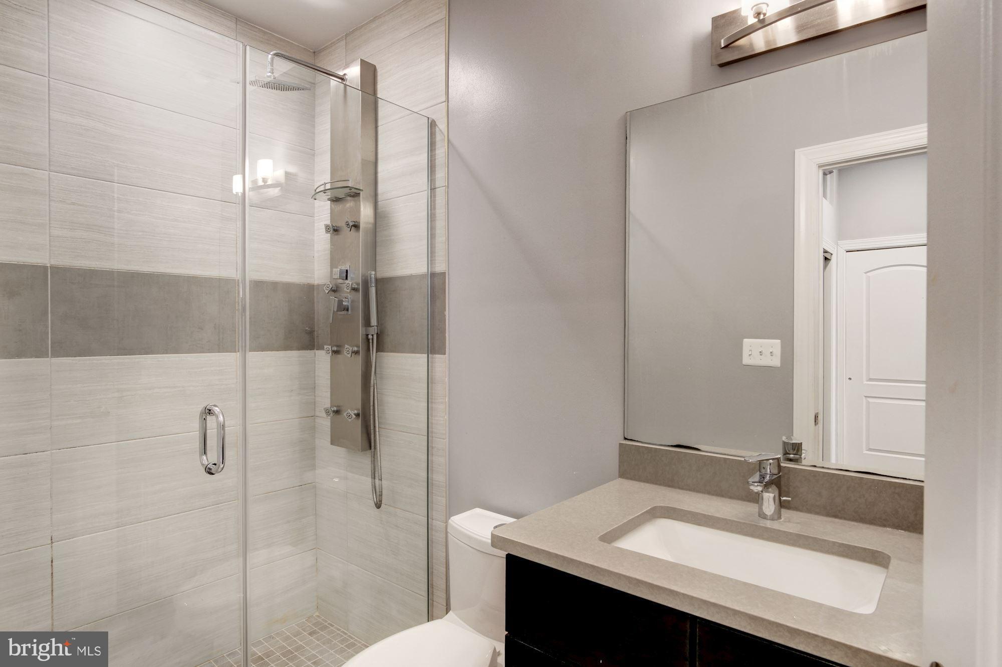 1333 Euclid Street Northwest, Unit 202 Washington, DC 20009 - Photo 13 of 14 a bathroom with a sink shower and a mirror