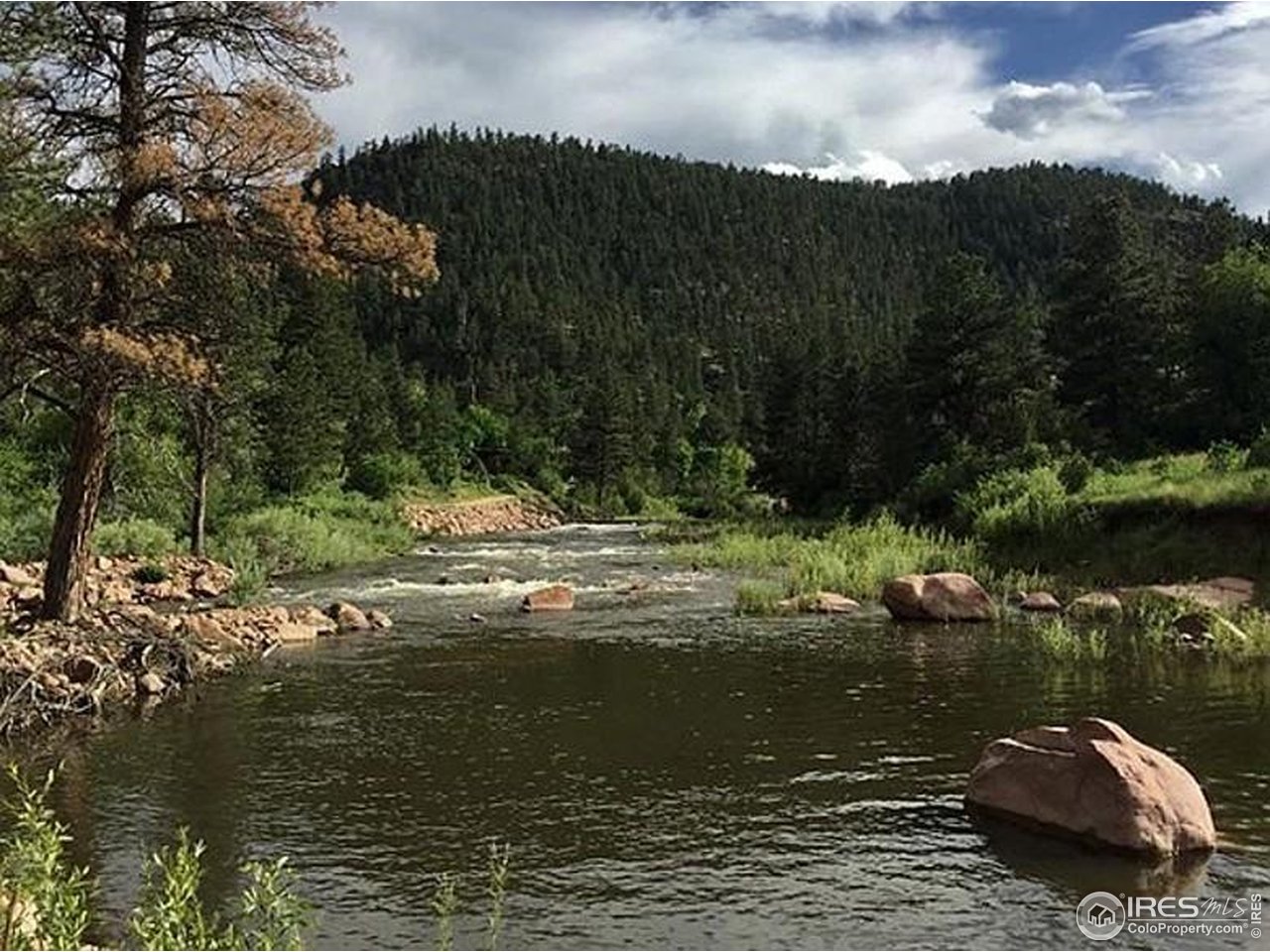 0 Longmont Dam Road, Unit 51 ACRE Lyons, CO 80540 - Photo 4 of 8