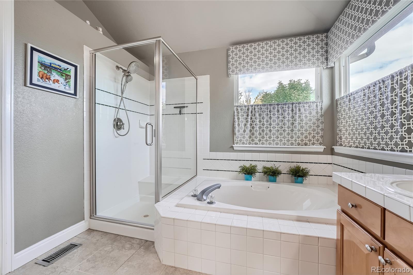 9538 La Quinta Drive Lone Tree, CO 80124 - Photo 24 of 41 a bathroom with a tub sink and mirror
