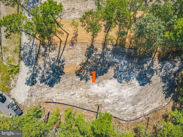 a view of back yard of the trees