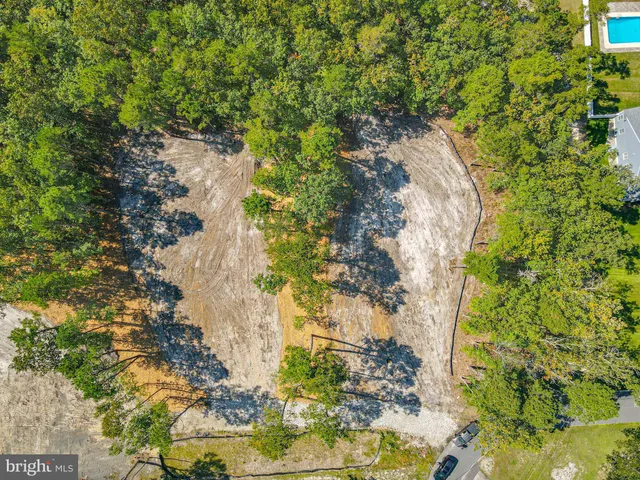 a view of a garden with plants
