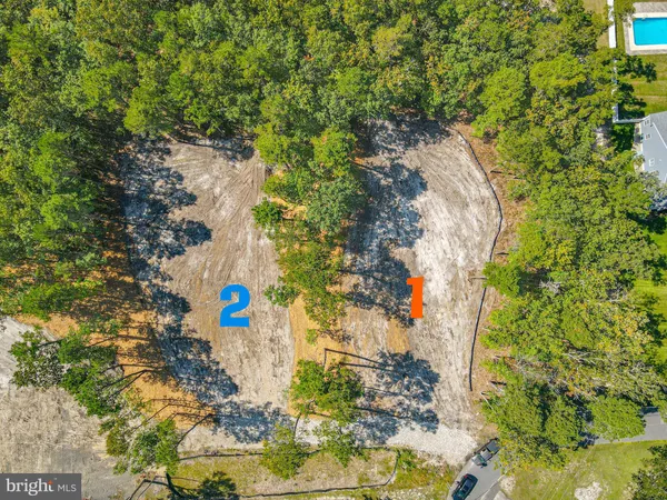 a view of a flower in a garden