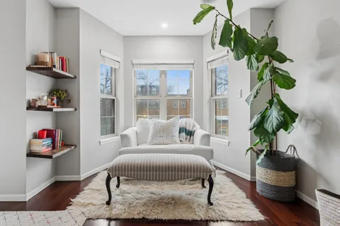 a living room with furniture flowerpot and a potted plant