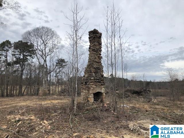 0 Pine Mountain Road, Unit 4 Springville, AL 35146 - Photo 5 of 15
