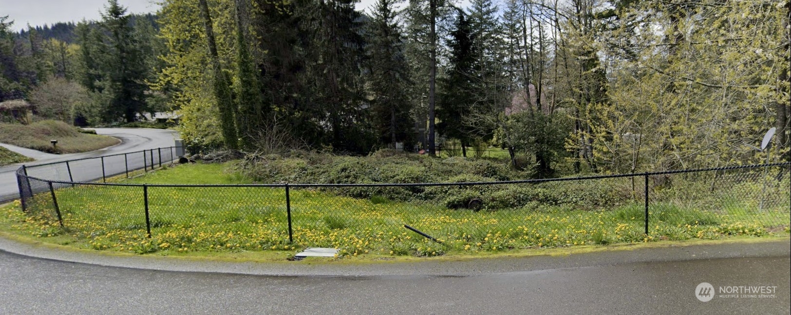 46233 287th Avenue Southeast Enumclaw, WA 98022 - Photo 1 of 1 a view of a park