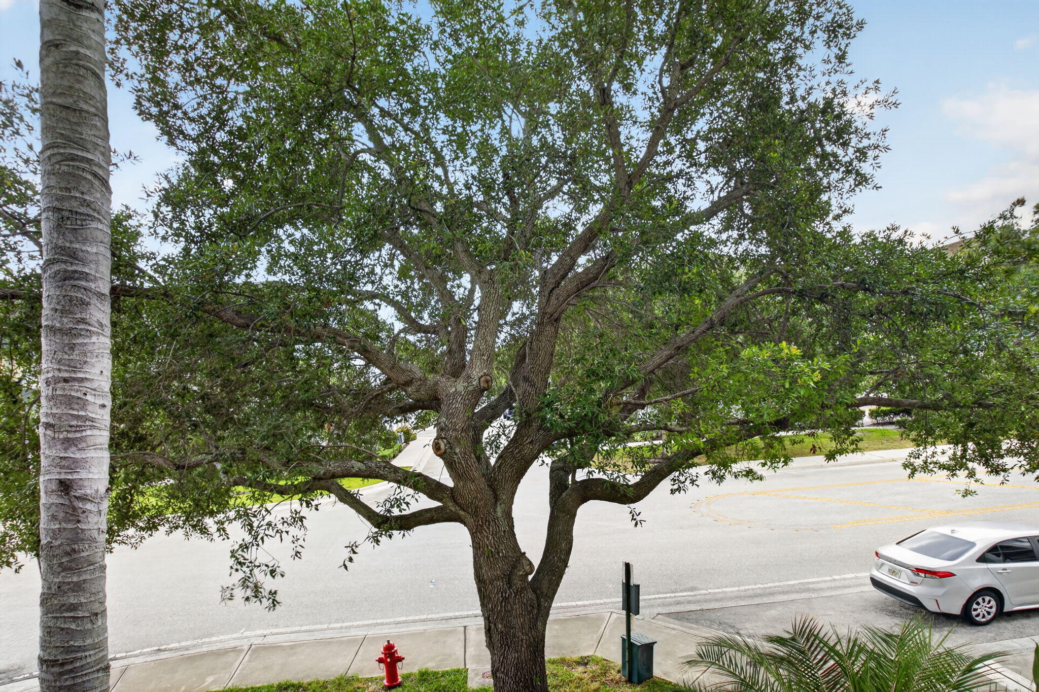 1690 Renaissance Commons Boulevard, Unit 1219 Boynton Beach, FL 33426 - Photo 33 of 52 34-web-or-mls-DSC_0348