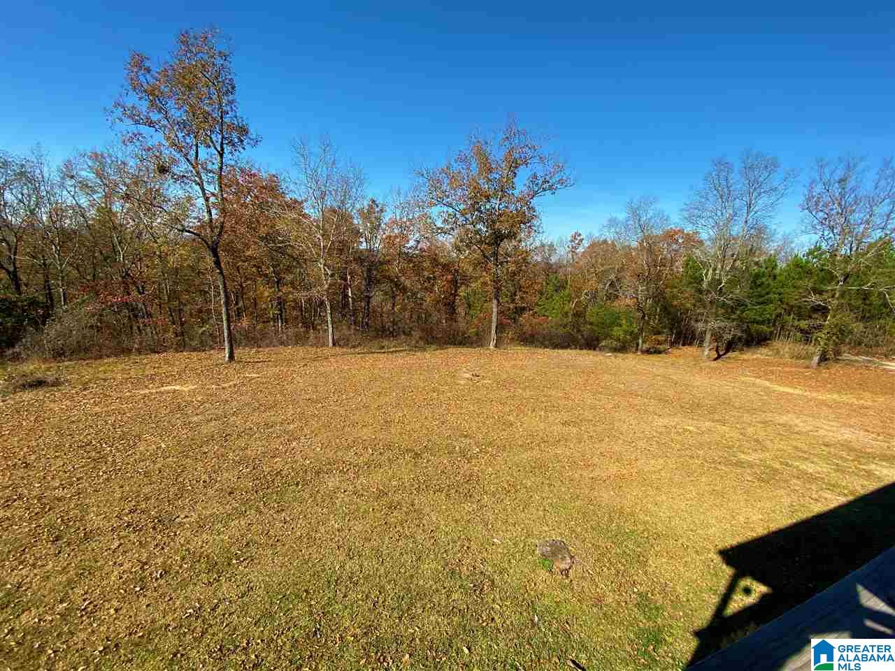 7541 Springer Road McCalla, AL 35111 - Photo 34 of 43