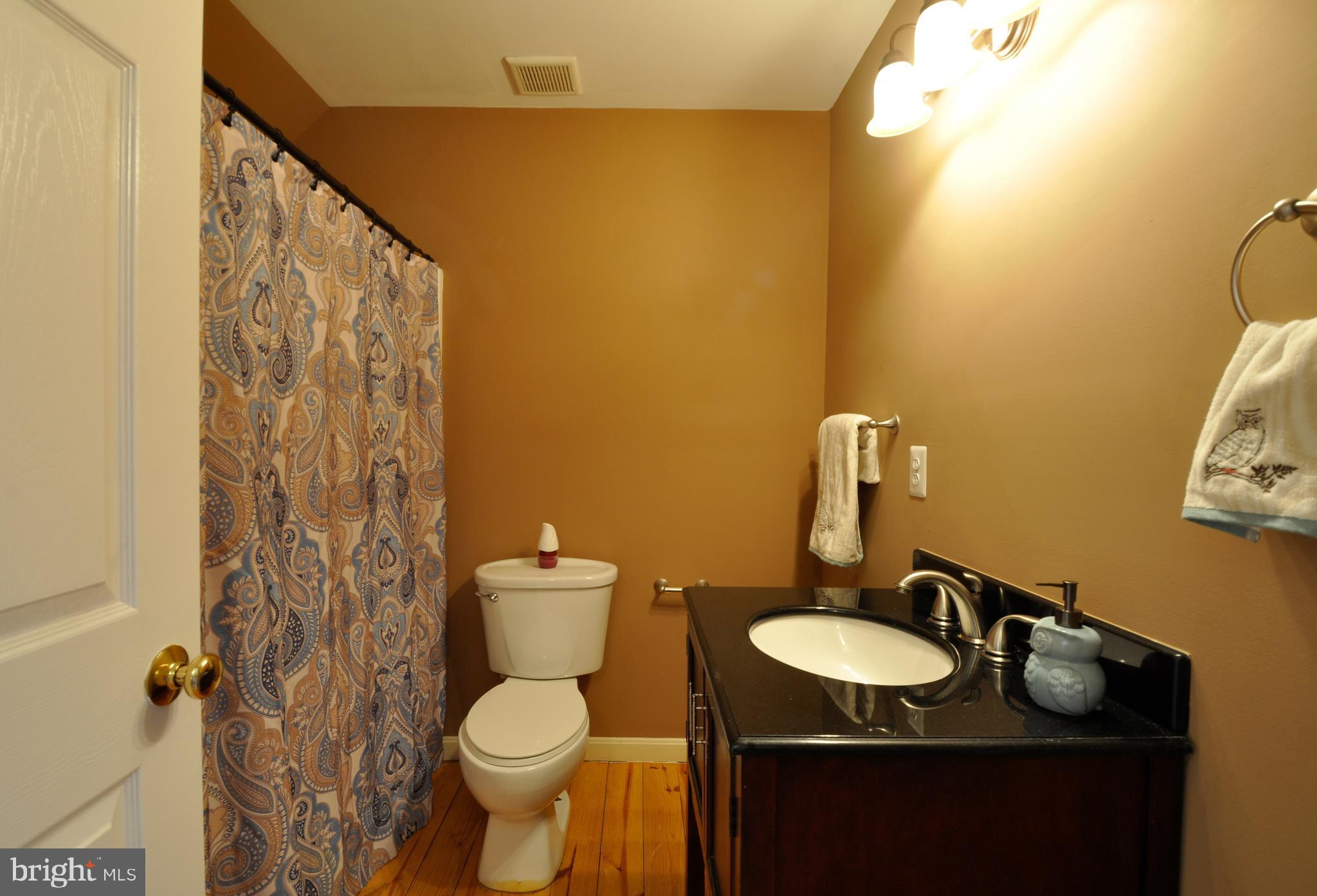 359 Caisson Road Fredericksburg, VA 22405 - Photo 35 of 47 Upstairs bath