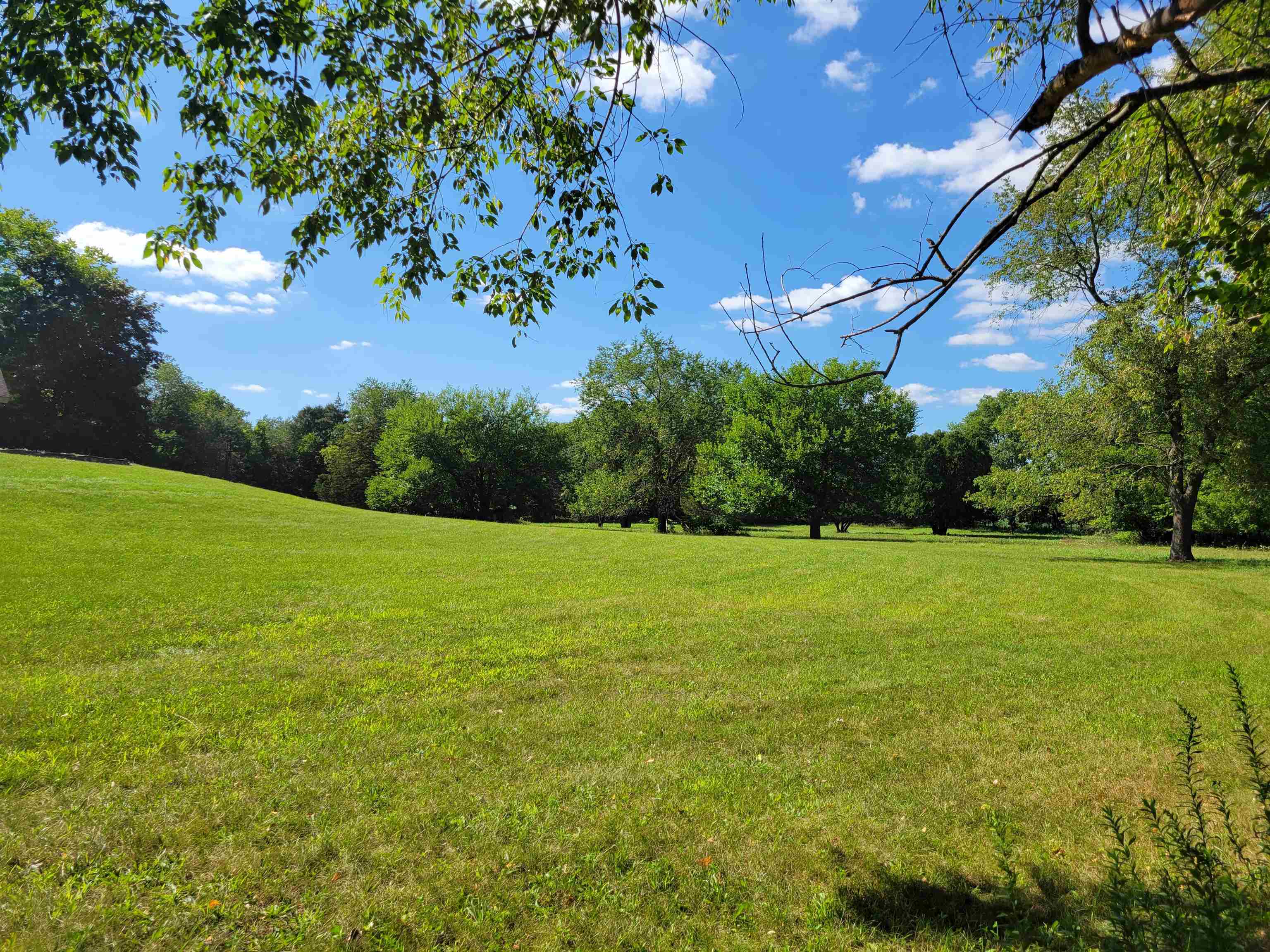 7037 Pomeroy Road Rockton, IL 61072 - Photo 30 of 35 a view of a field with large trees
