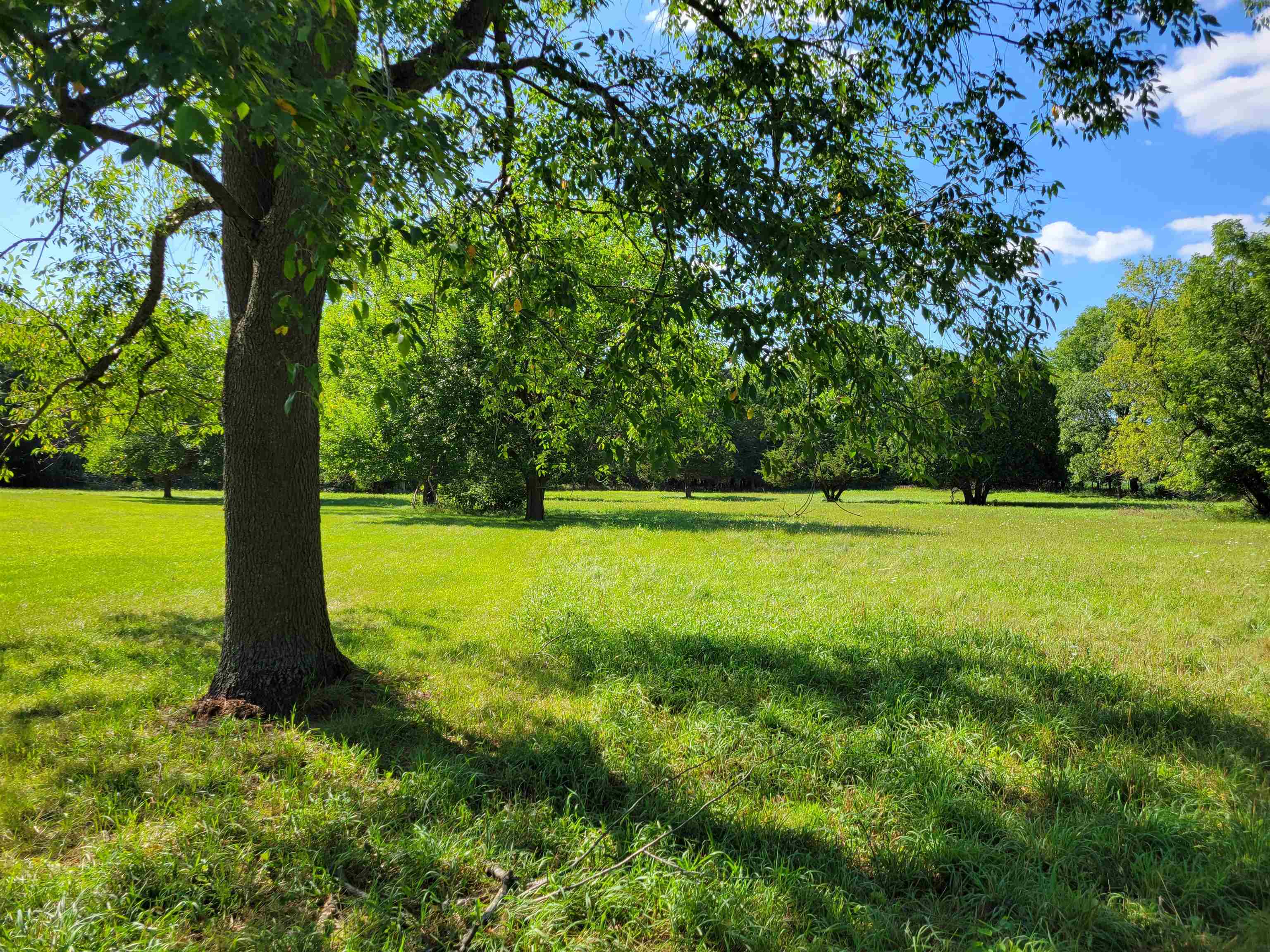 7037 Pomeroy Road Rockton, IL 61072 - Photo 34 of 35 a view of a field with a tree