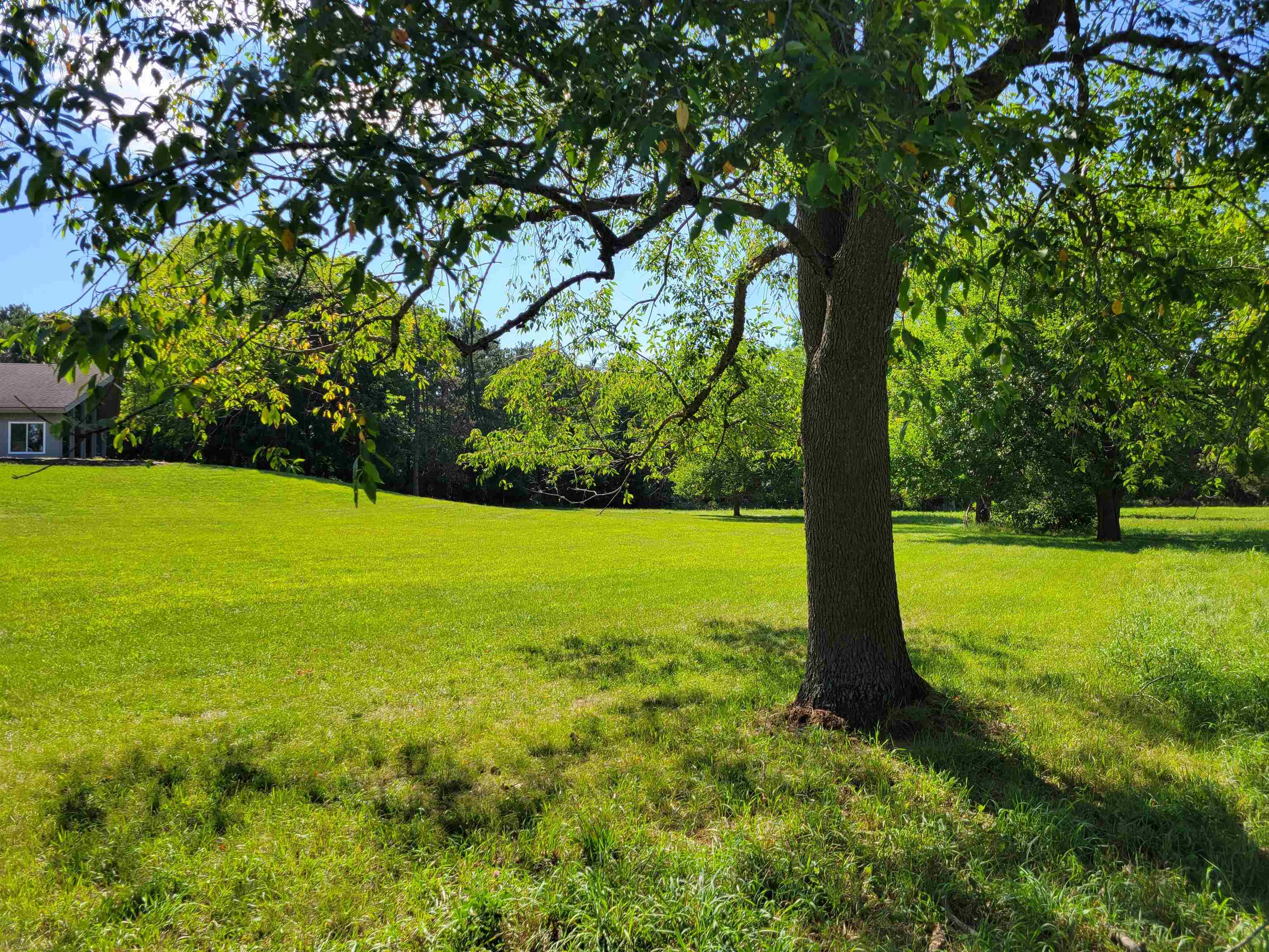 7037 Pomeroy Road Rockton, IL 61072 - Photo 35 of 35 a view of an trees with a yard