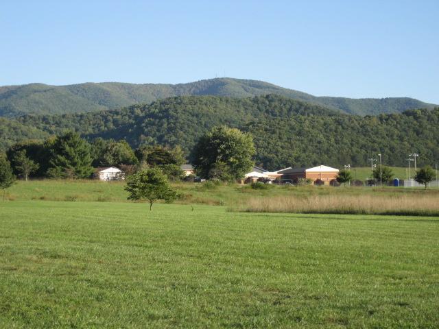 8865 Roanoke Road Elliston, VA 24087 - Photo 5 of 11 a view of a house with a yard and a large tree