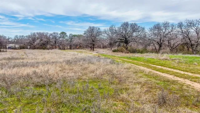 a view of a yard with an outdoor space