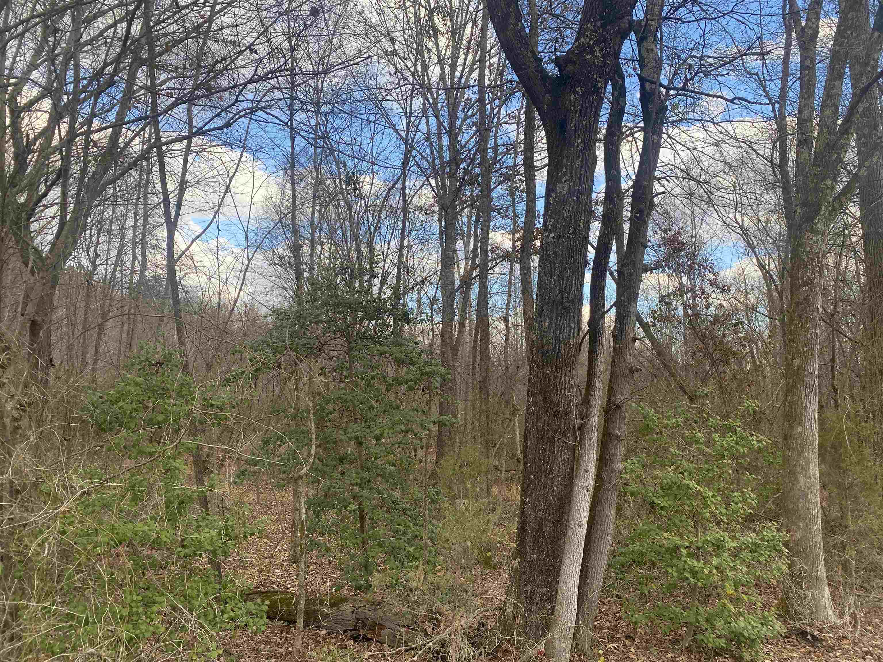 7 Hughey Talley Road Selmer, TN 38375 - Photo 3 of 8