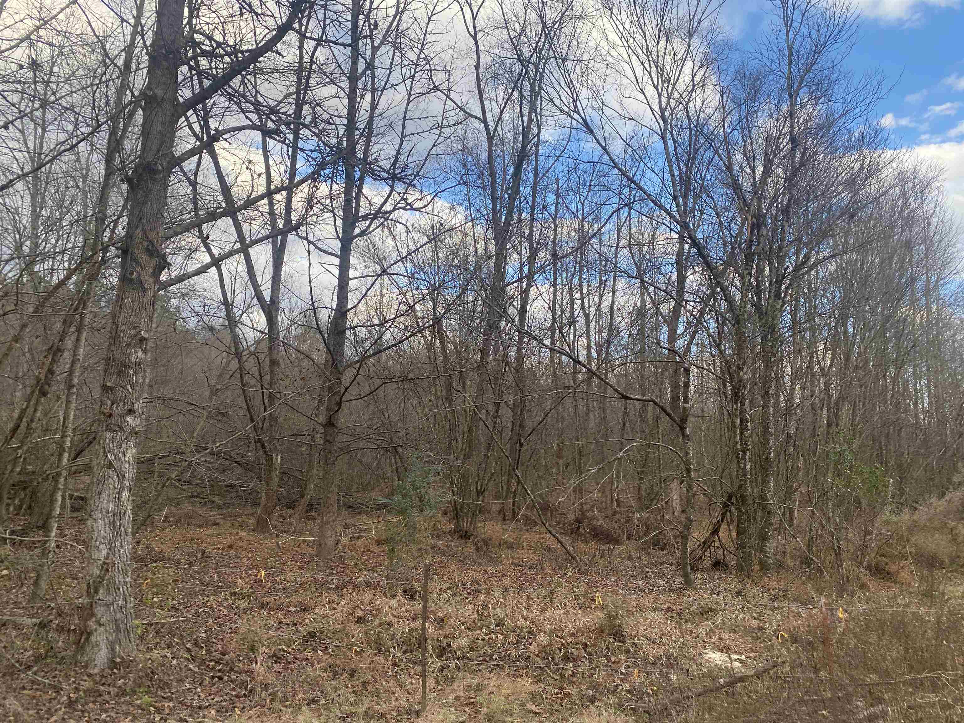 7 Hughey Talley Road Selmer, TN 38375 - Photo 5 of 8