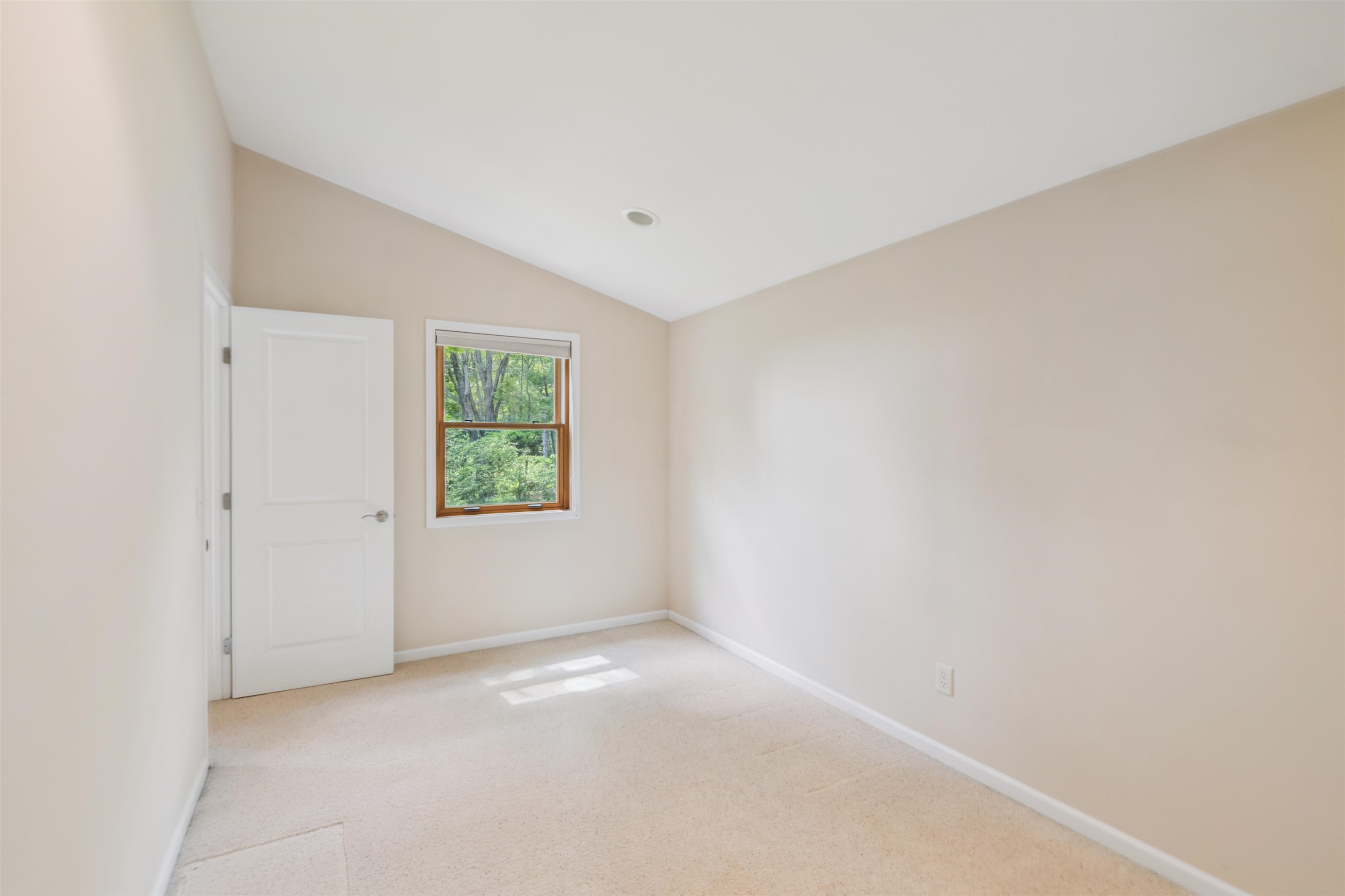 720 Rice Avenue Bayfield, WI 54814 - Photo 24 of 47 Empty room featuring lofted ceiling and light carpet