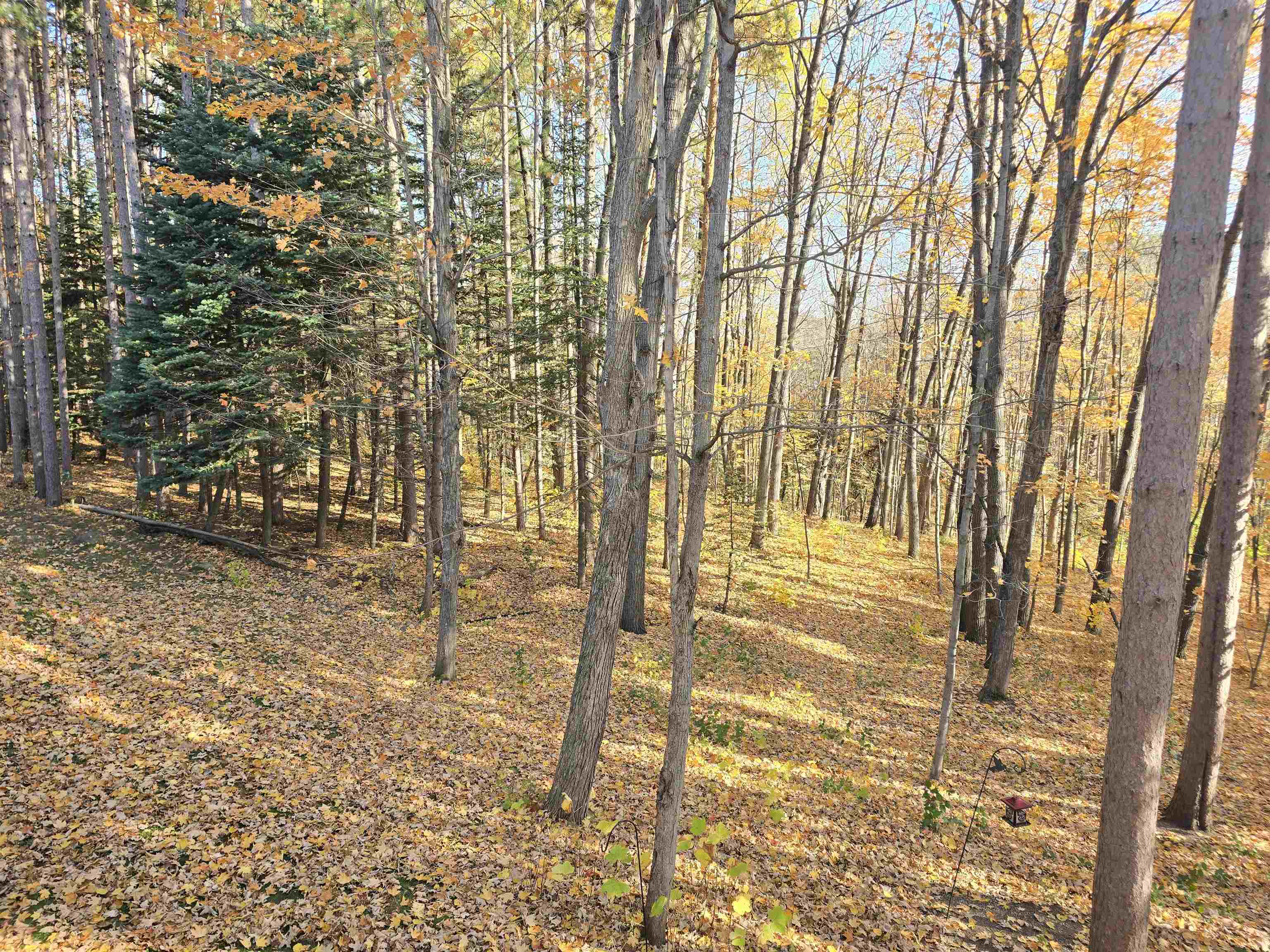 720 Rice Avenue Bayfield, WI 54814 - Photo 37 of 47 View of landscape