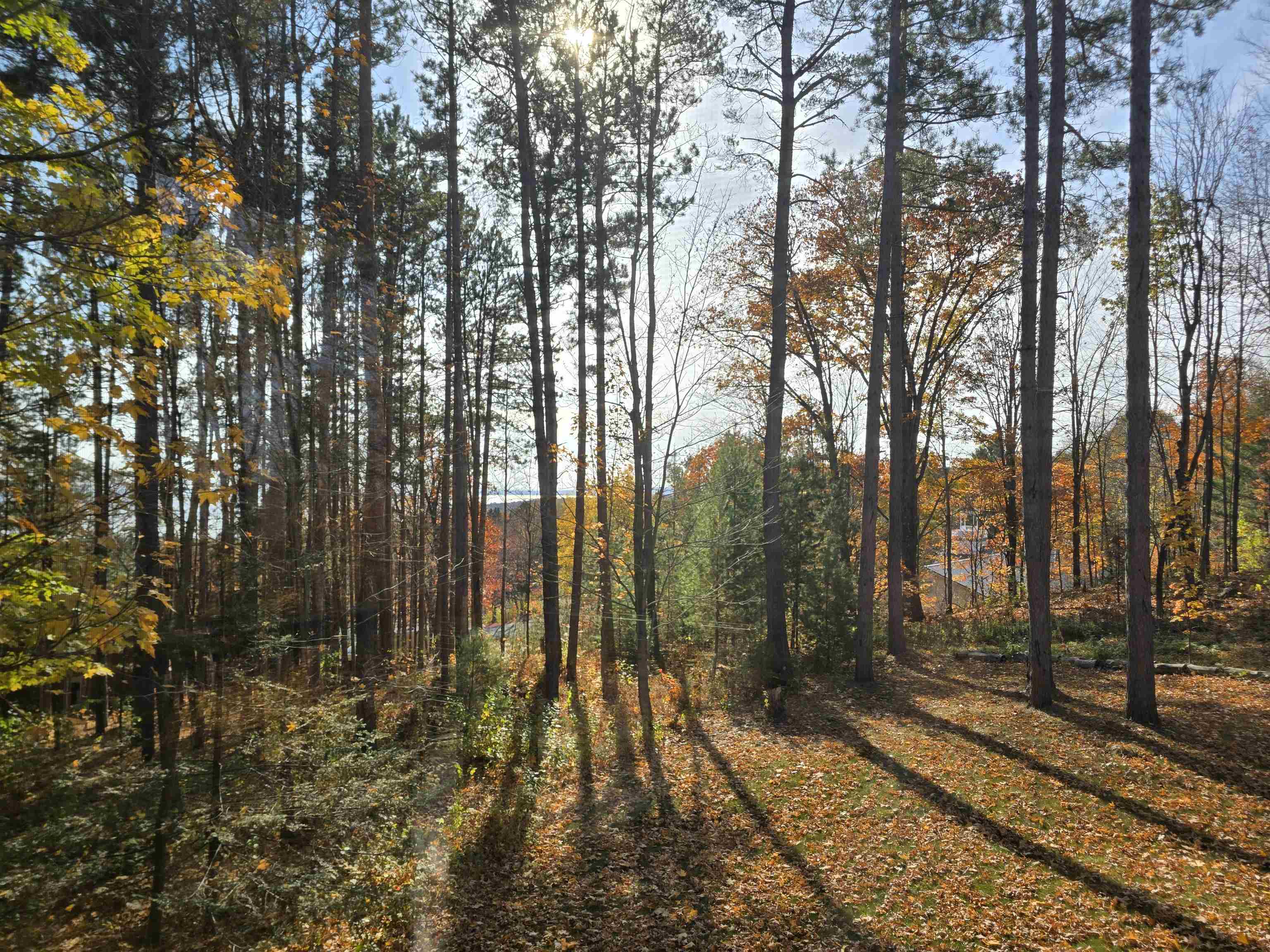 720 Rice Avenue Bayfield, WI 54814 - Photo 42 of 47 View of nature