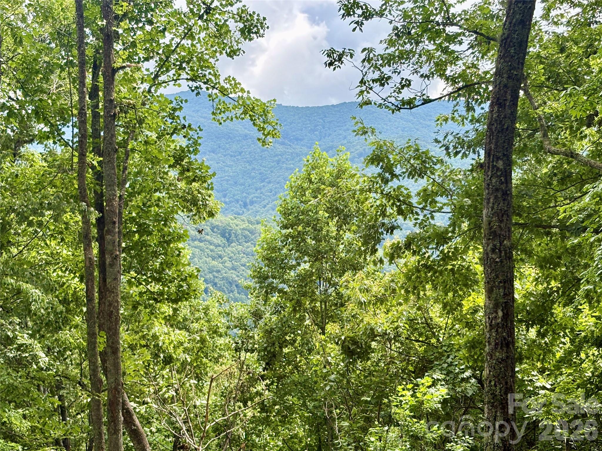 0 Carpenter Road Bryson City, NC 28713 - Photo 4 of 30 Gallery Image 4