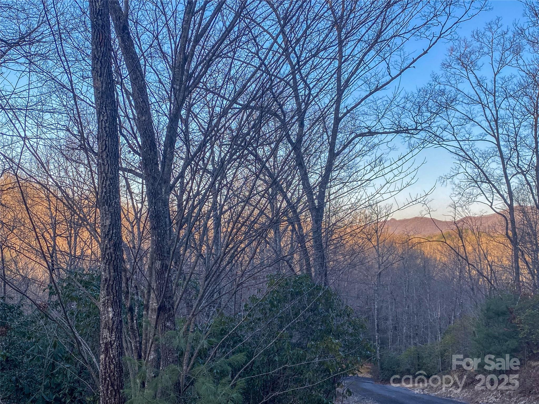 Lot 26 Ridge Trail Drive Balsam Grove, NC 28708 - Photo 1 of 16 Gallery Image 1