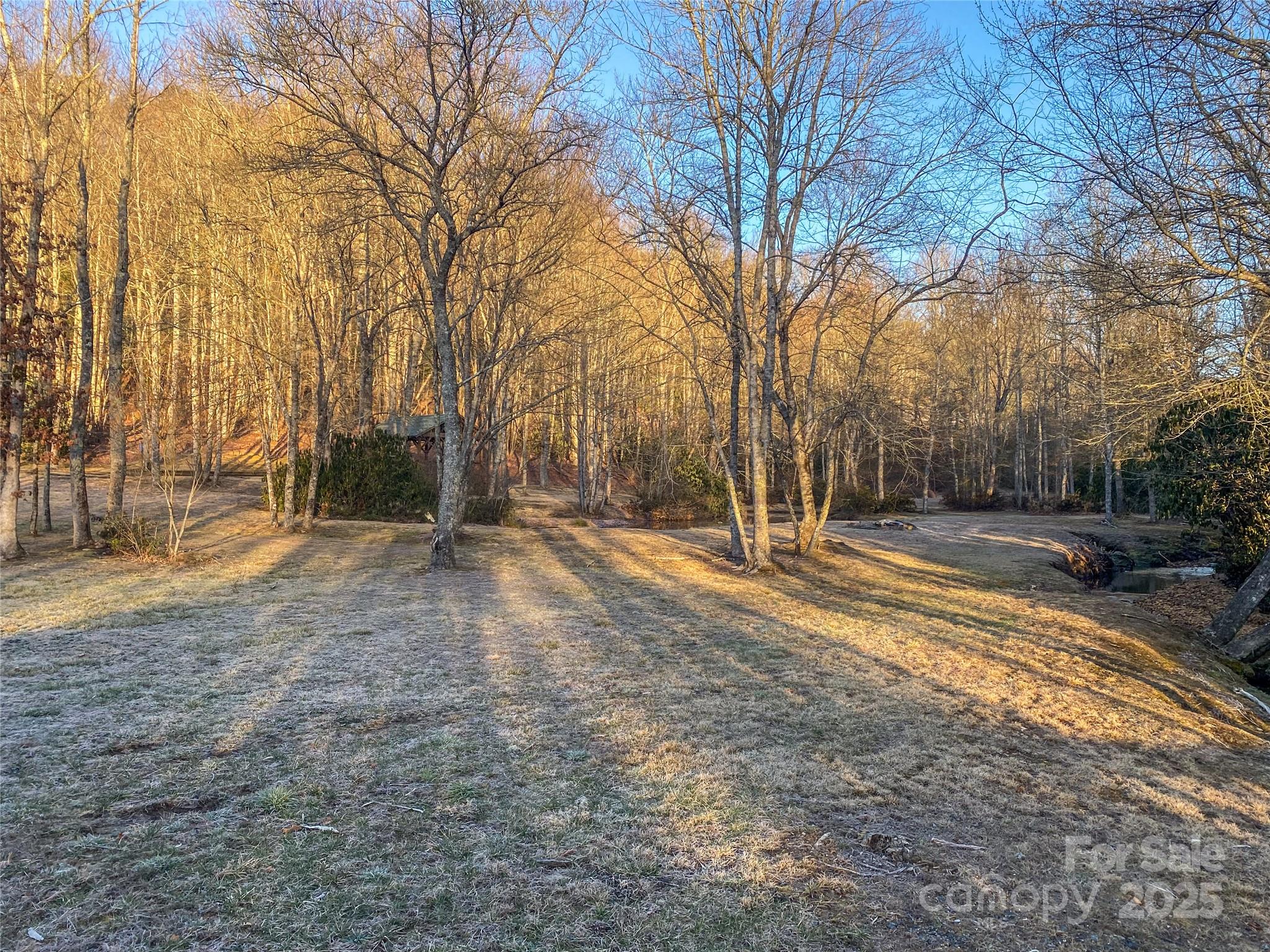 Lot 26 Ridge Trail Drive Balsam Grove, NC 28708 - Photo 12 of 16 Gallery Image 12