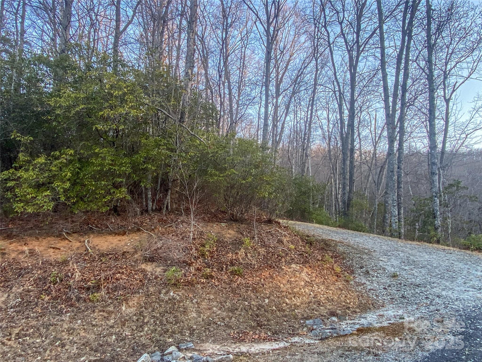 Lot 26 Ridge Trail Drive Balsam Grove, NC 28708 - Photo 2 of 16 Gallery Image 2