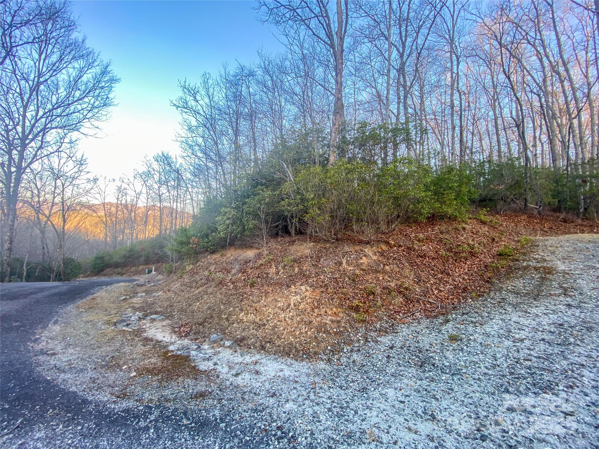 Lot 26 Ridge Trail Drive Balsam Grove, NC 28708 - Photo 3 of 16 Gallery Image 3