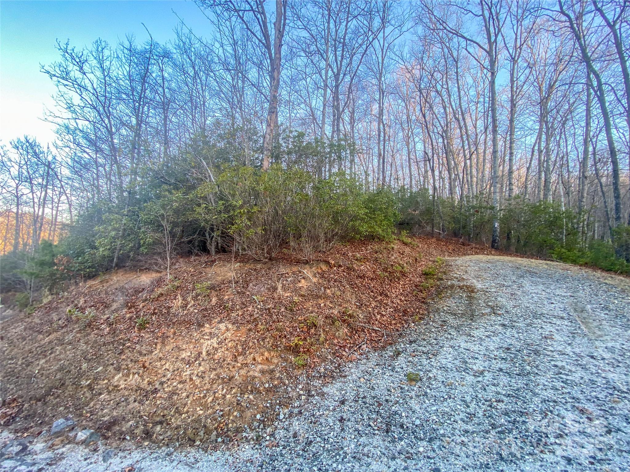 Lot 26 Ridge Trail Drive Balsam Grove, NC 28708 - Photo 5 of 16 Gallery Image 5