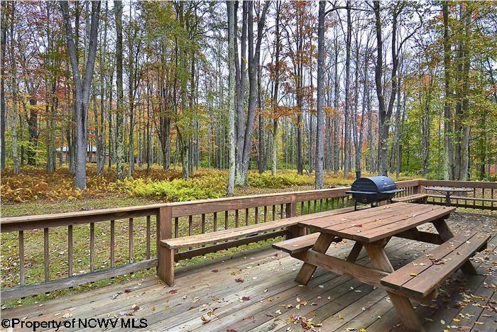 459 Lakeview Road Davis, WV 26260 - Photo 16 of 20 Gallery Image 16